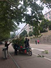 威廉希尔足球网