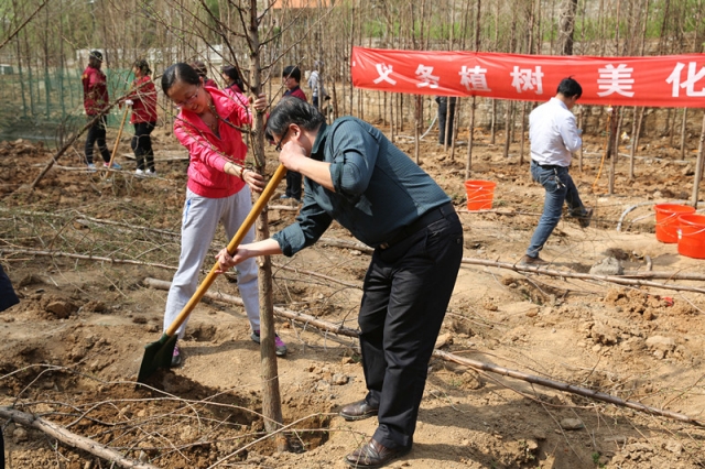 威廉希尔足球网