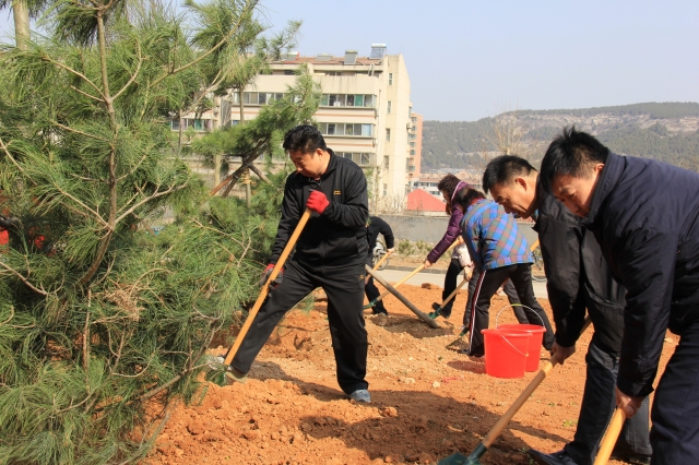 威廉希尔足球网