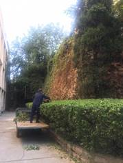 威廉希尔足球网
