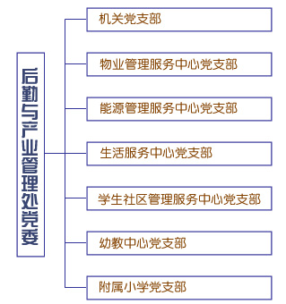 威廉希尔足球网