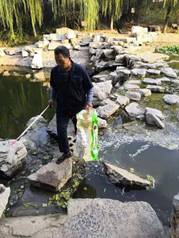 威廉希尔足球网
