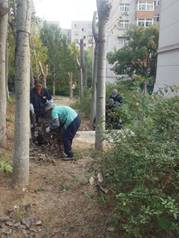 威廉希尔足球网