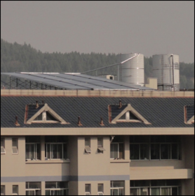 威廉希尔足球网