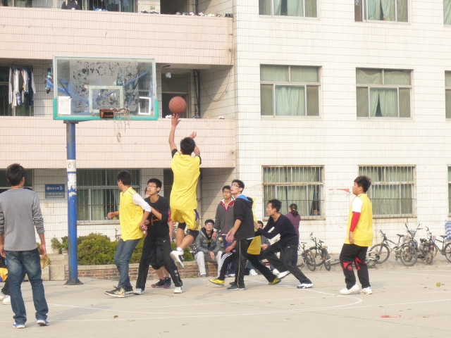 威廉希尔足球网