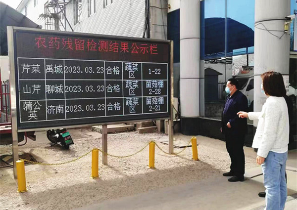 威廉希尔足球网