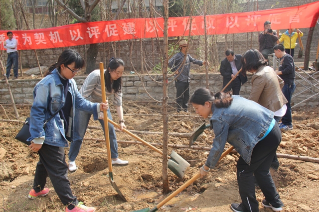 威廉希尔足球网
