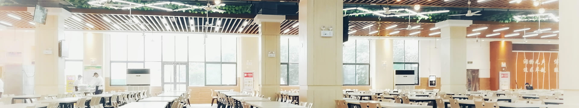威廉希尔足球网